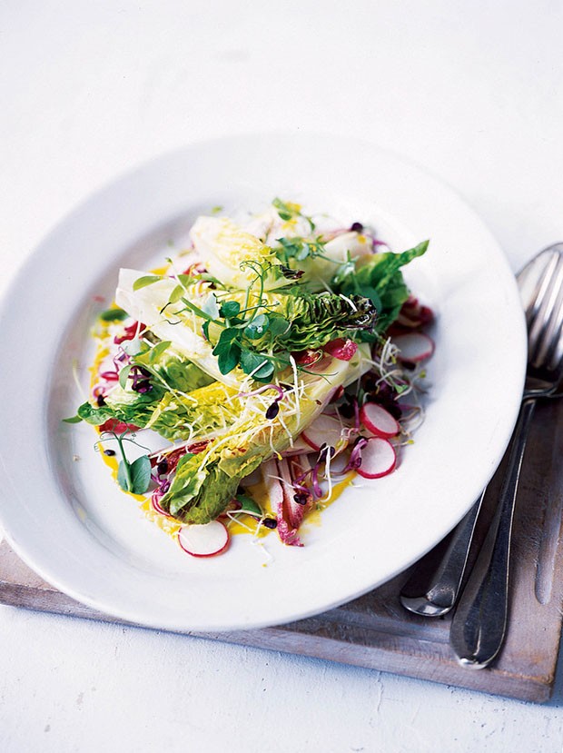 Lettuce heart and little leaf salad Country Living Magazine UK